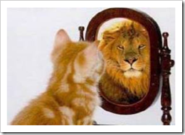 Cat seeing lion in the mirror